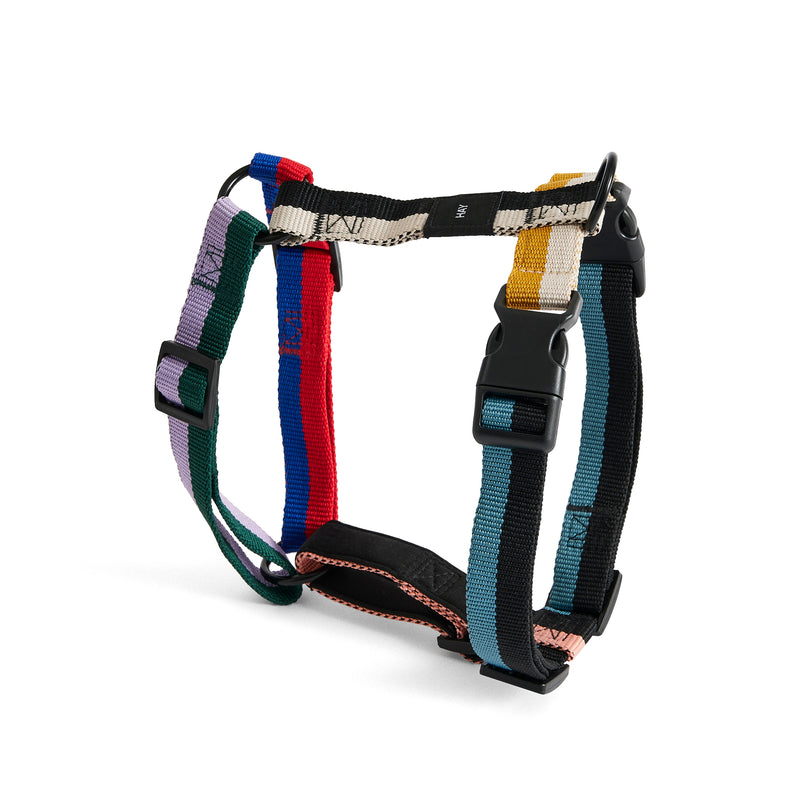 HAY - Dogs Hundegeschirr | multicolour