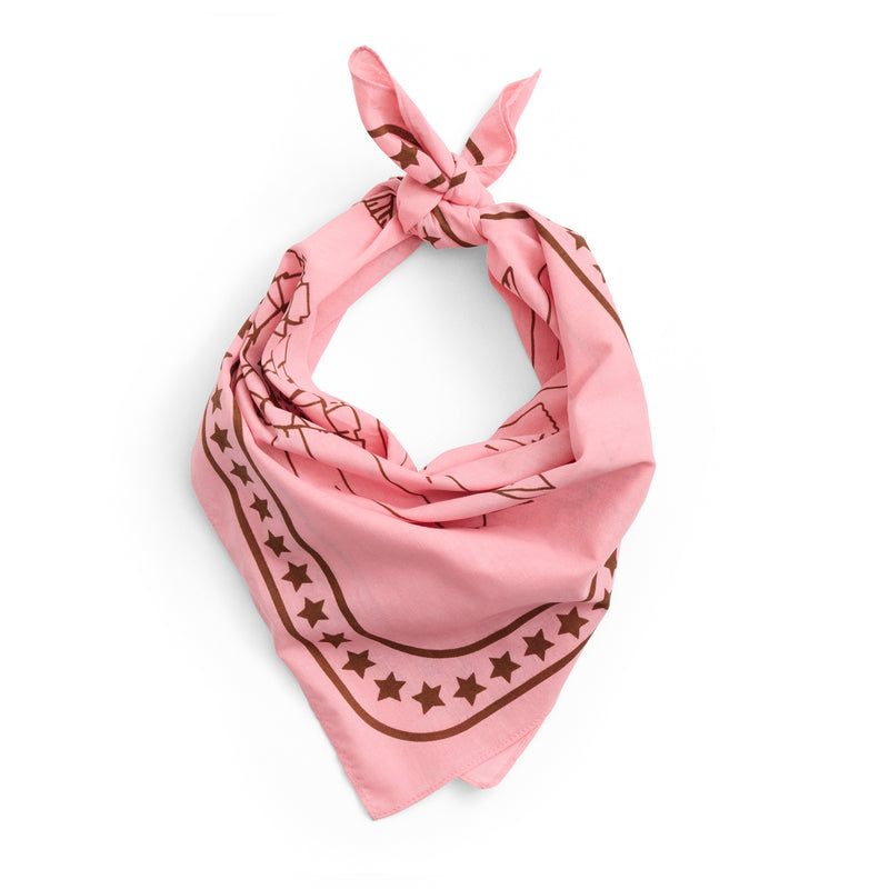 HAY - Dogs Hundetuch | pink