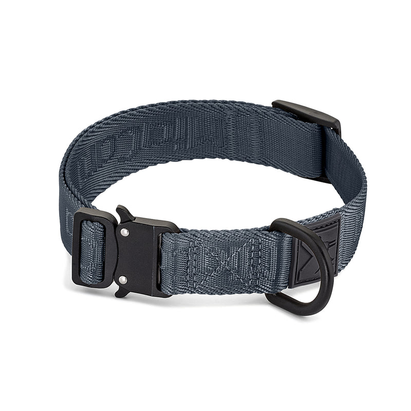 MiaCara - Modena Hundehalsband | M / ML / asphalt