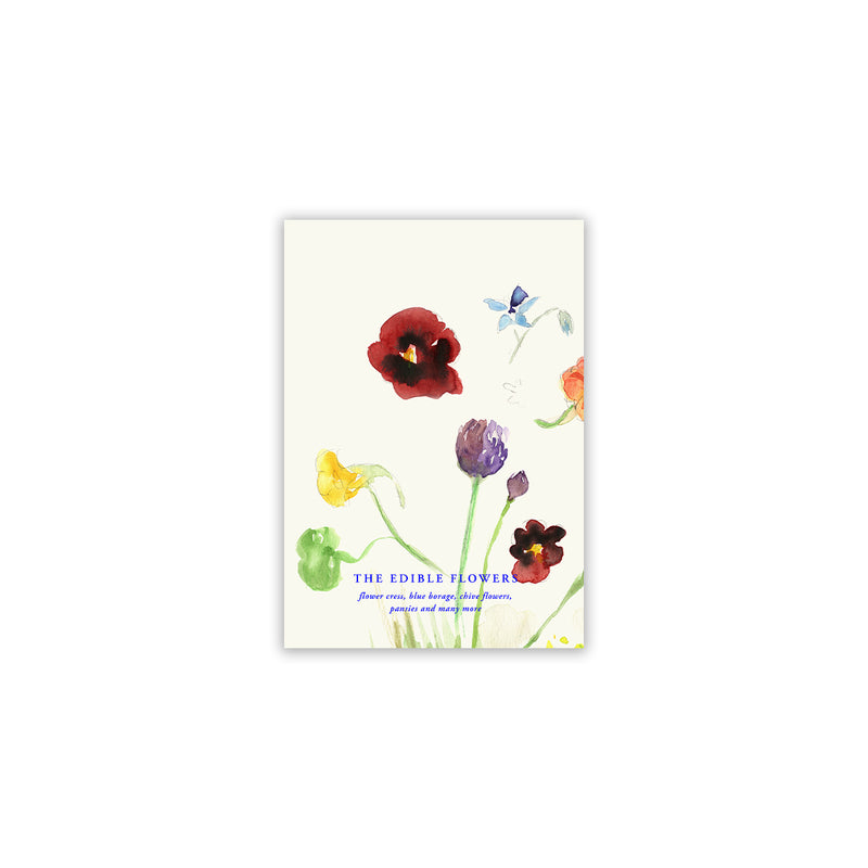 Paper Collective - The Edible Flowers Poster | A4