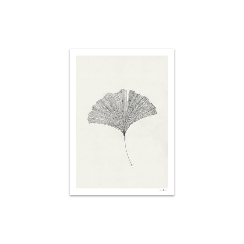 The Poster Club - Ginkgo Leaf von Ana Frois | 30 x 40 cm