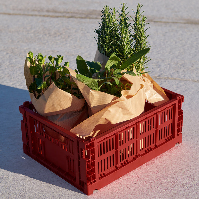 HAY - Colour Crate Korb M | burgundy