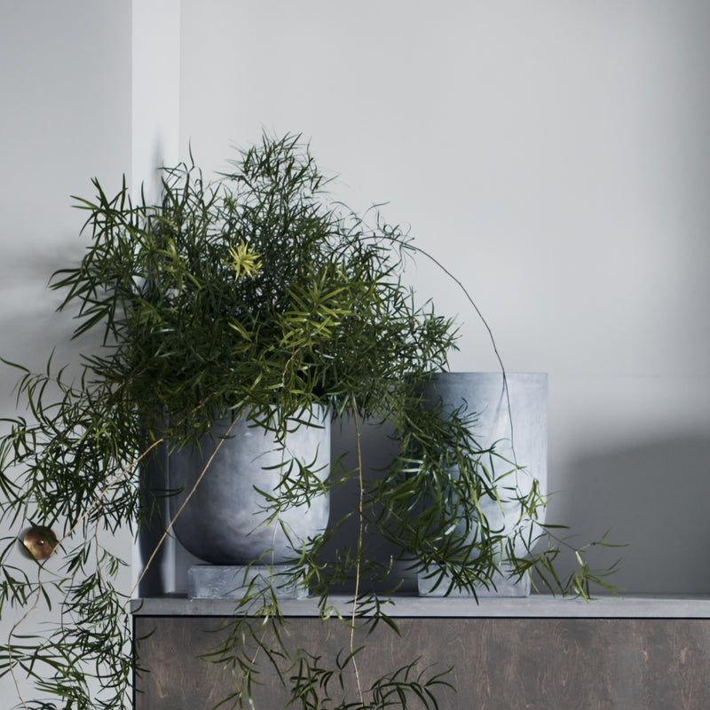 Bolia - Podium Blumentopf