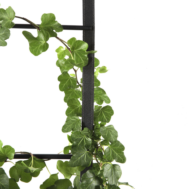 Authentics - Urban Garden Pflanztaschen