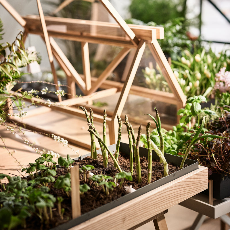 Design House Stockholm - Greenhouse