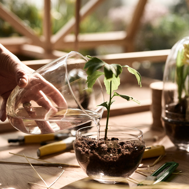 Design House Stockholm - Grow Gewächshaus