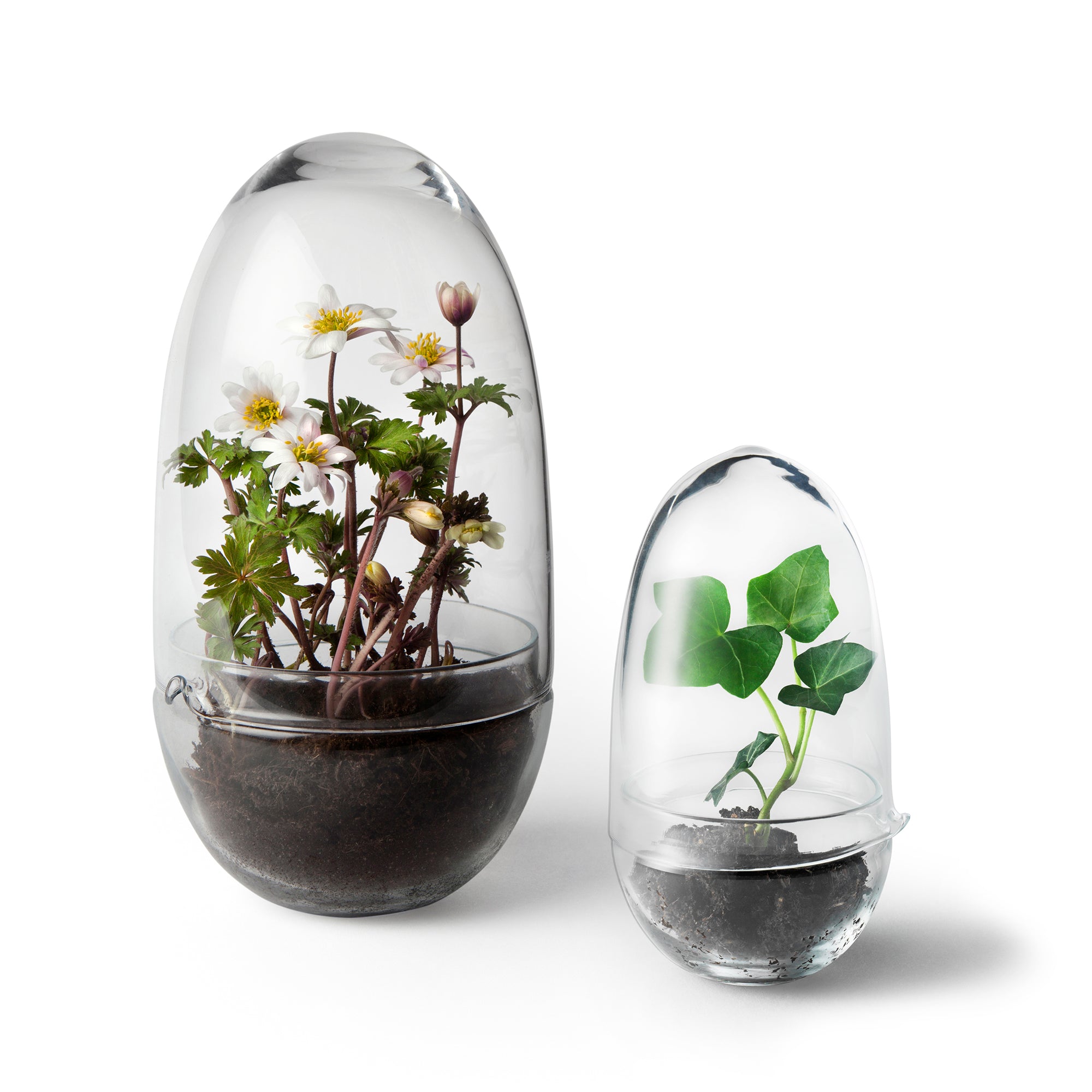 Design House Stockholm - Grow Gewächshaus | S