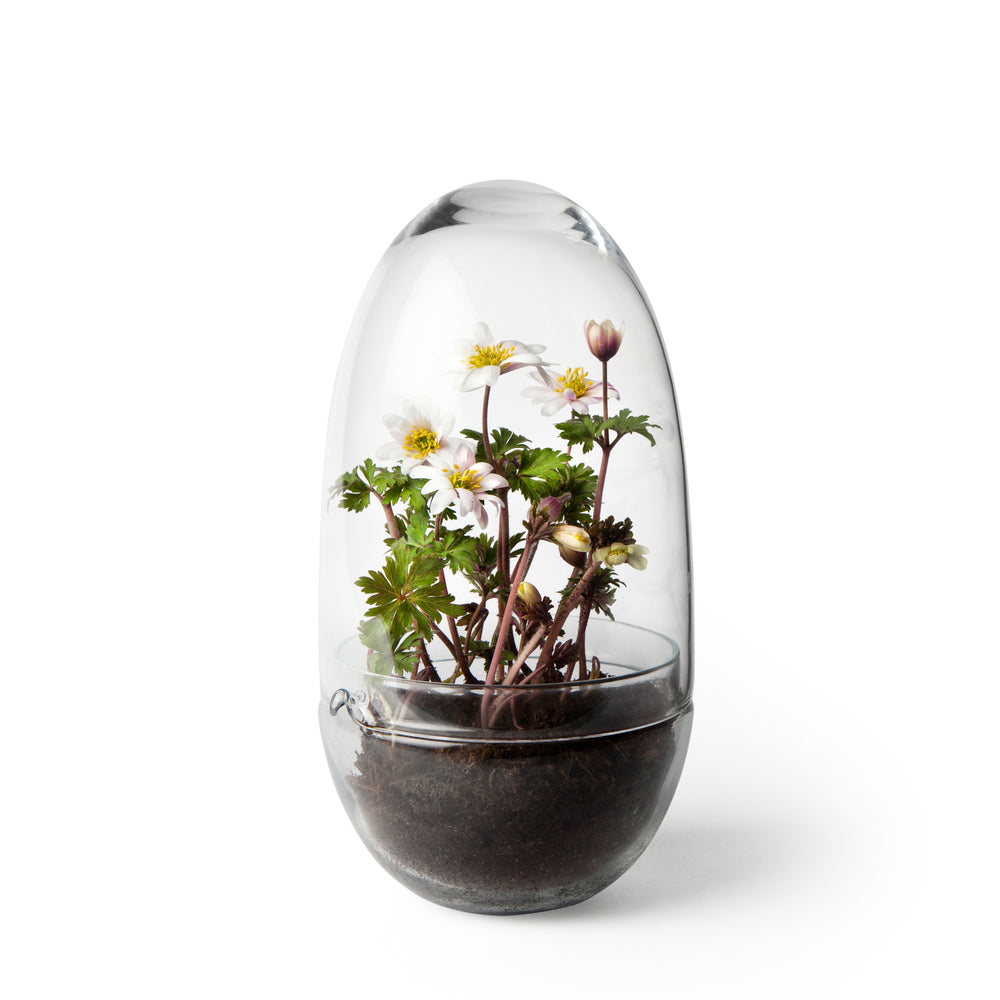 Design House Stockholm - Grow Gewächshaus | M