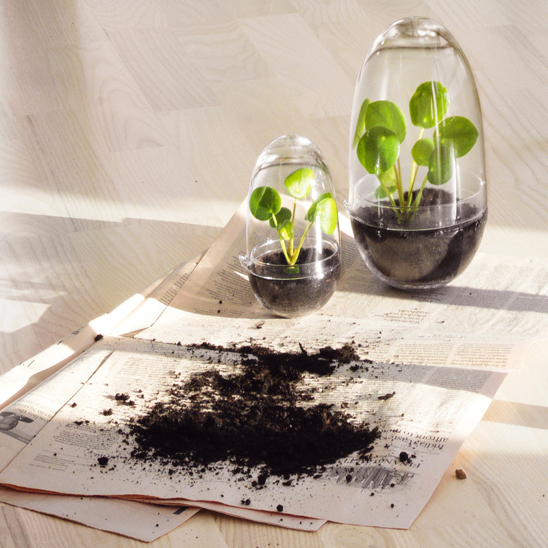 Design House Stockholm - Grow Gewächshaus