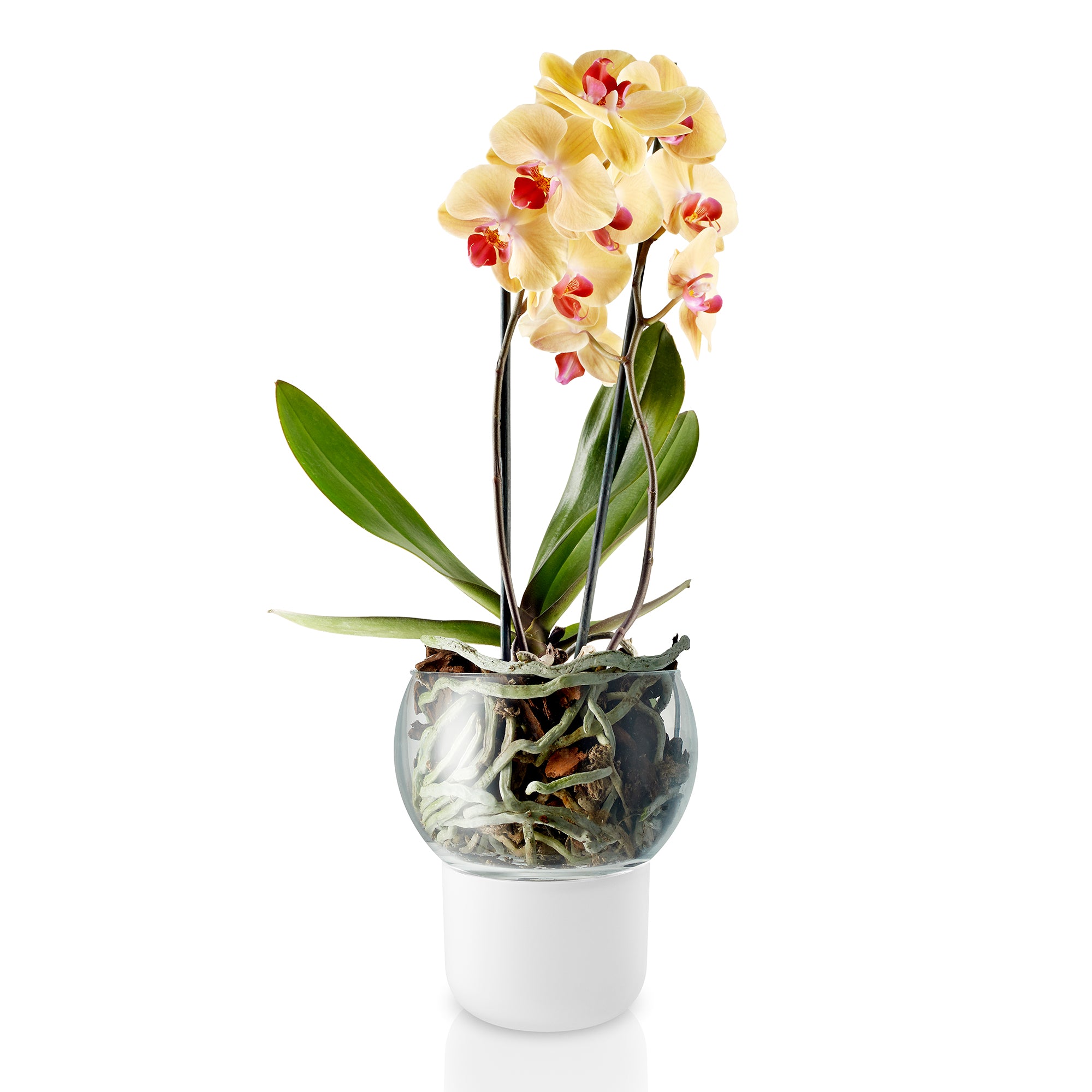 Eva Solo - Selbstbewässernder Orchideentopf