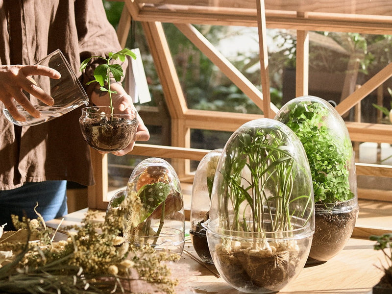 Design House Stockholm - Grow Gewächshaus
