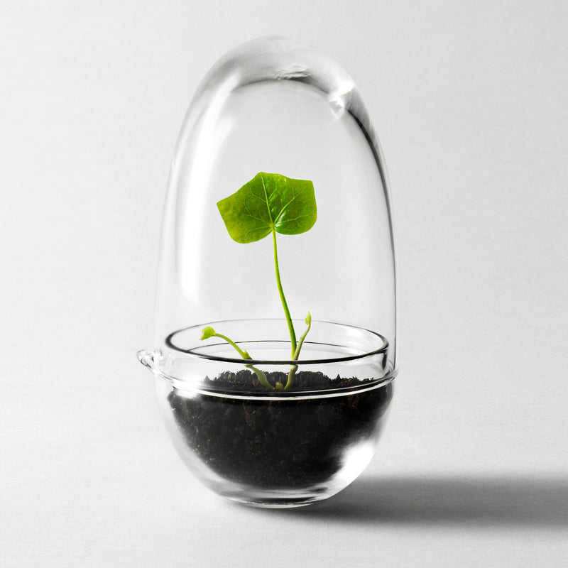 Design House Stockholm - Grow Gewächshaus
