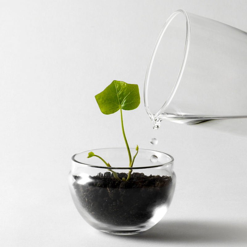 Design House Stockholm - Grow Gewächshaus