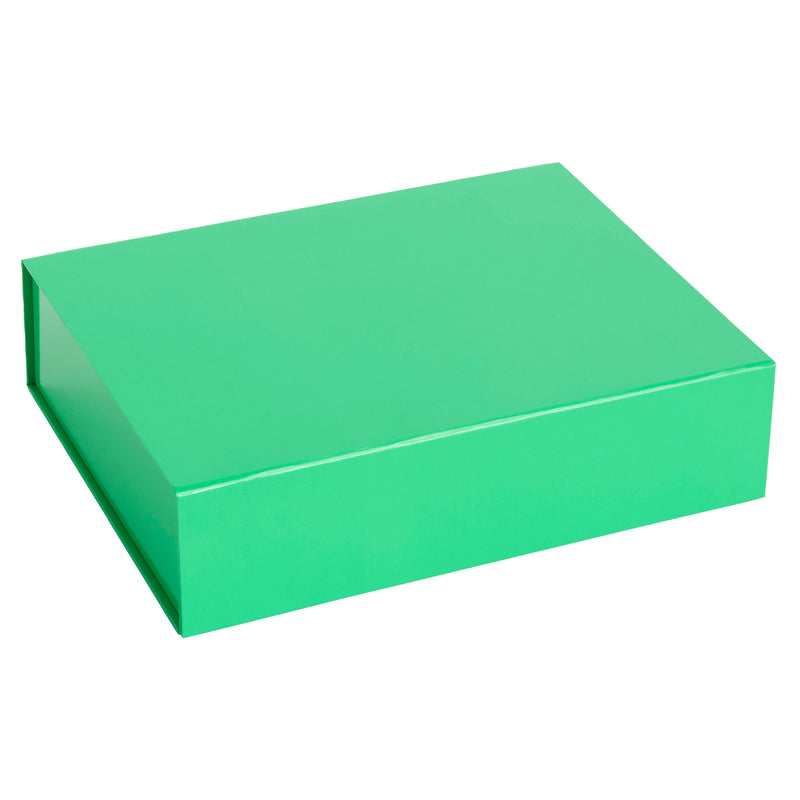 HAY - Colour Aufbewahrungsbox magnetisch | S / vibrant green