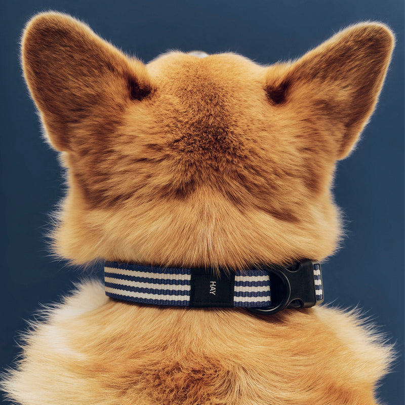 HAY - Dogs Hundehalsband | M/L / blau/weiße Streifen