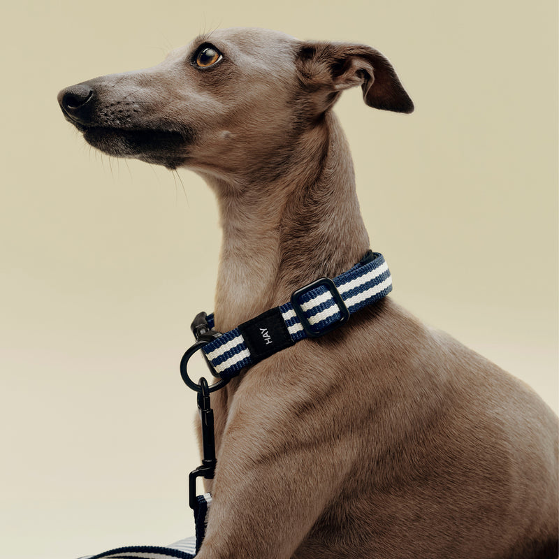 HAY - Dogs Hundehalsband | S/M / blau/weiße Streifen
