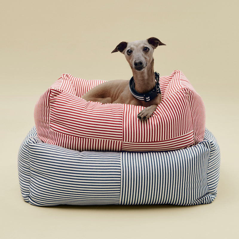 HAY - Dogs Hundebett