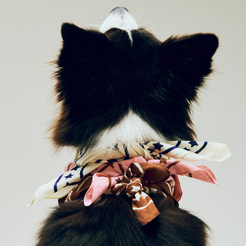 HAY - Dogs Hundetuch