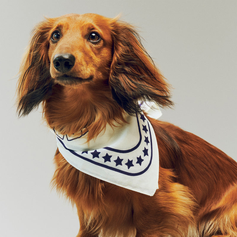 HAY - Dogs Hundetuch | off-white/blue
