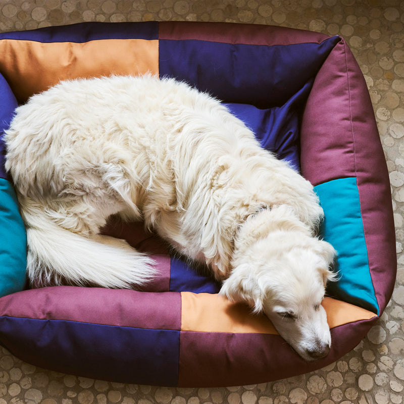 HAY - Dogs Hundebett