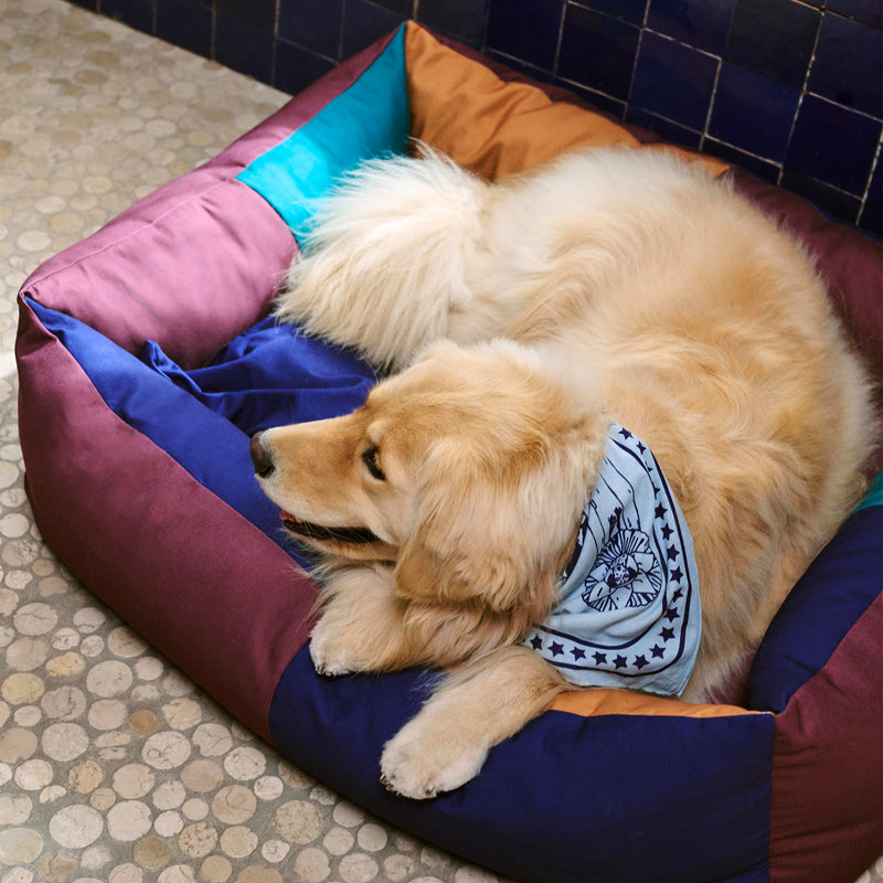 HAY - Dogs Hundebett