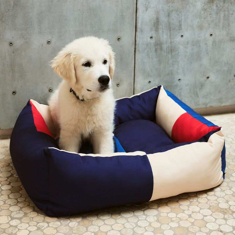 HAY - Dogs Hundebett
