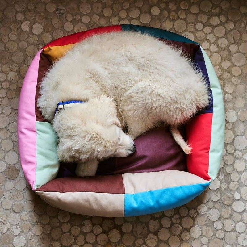 HAY - Dogs Hundebett