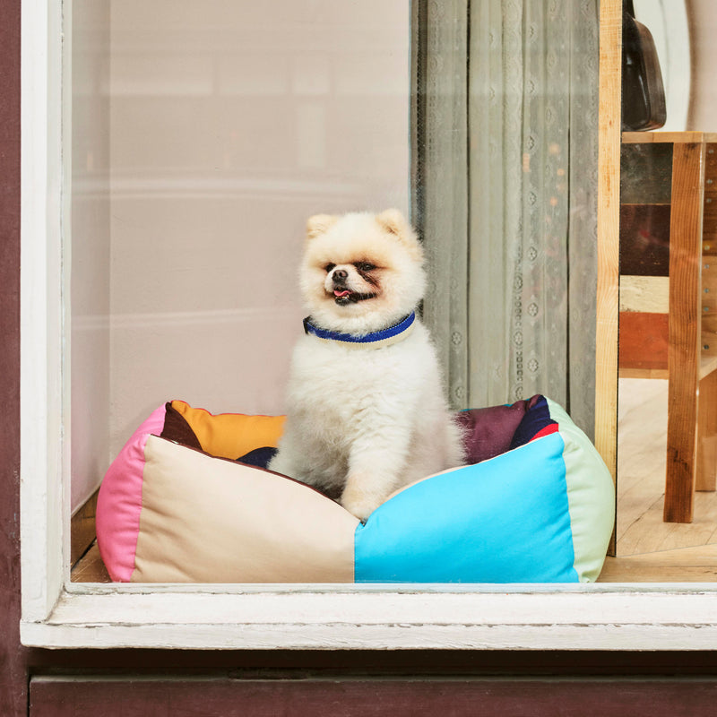 HAY - Dogs Hundebett