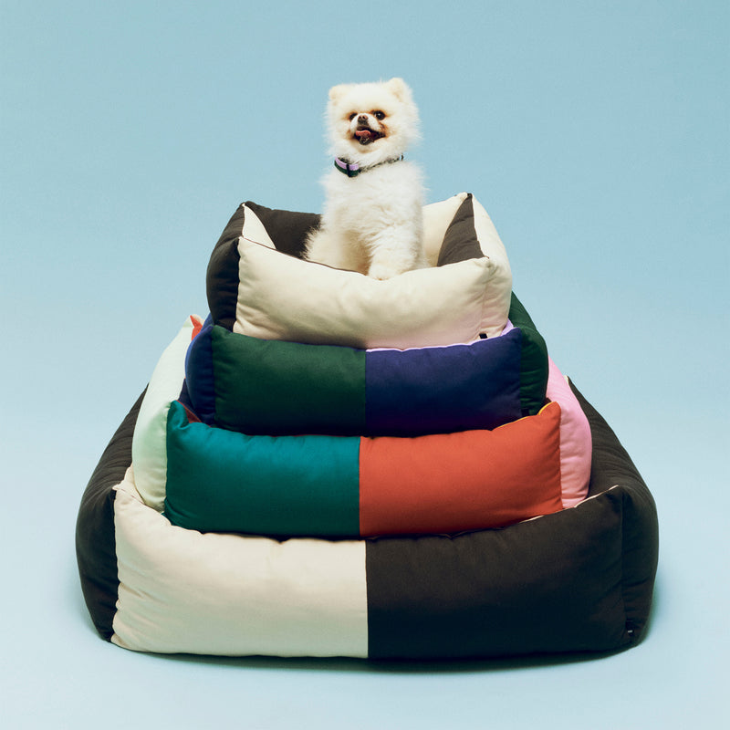 HAY - Dogs Hundebett