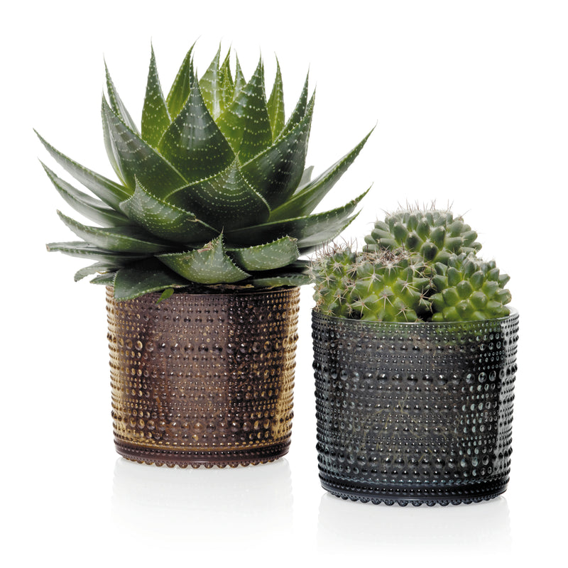 Iittala - Kastehelmi Vorratsglas