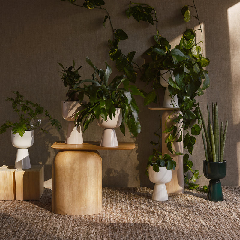 Iittala - Nappula Blumentopf