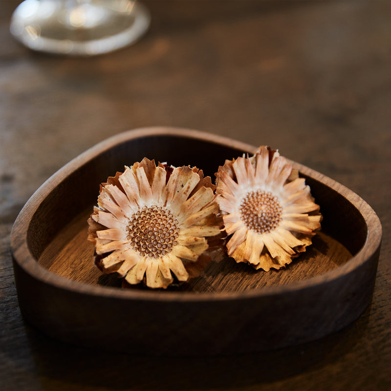 Lind DNA - Wood Box
