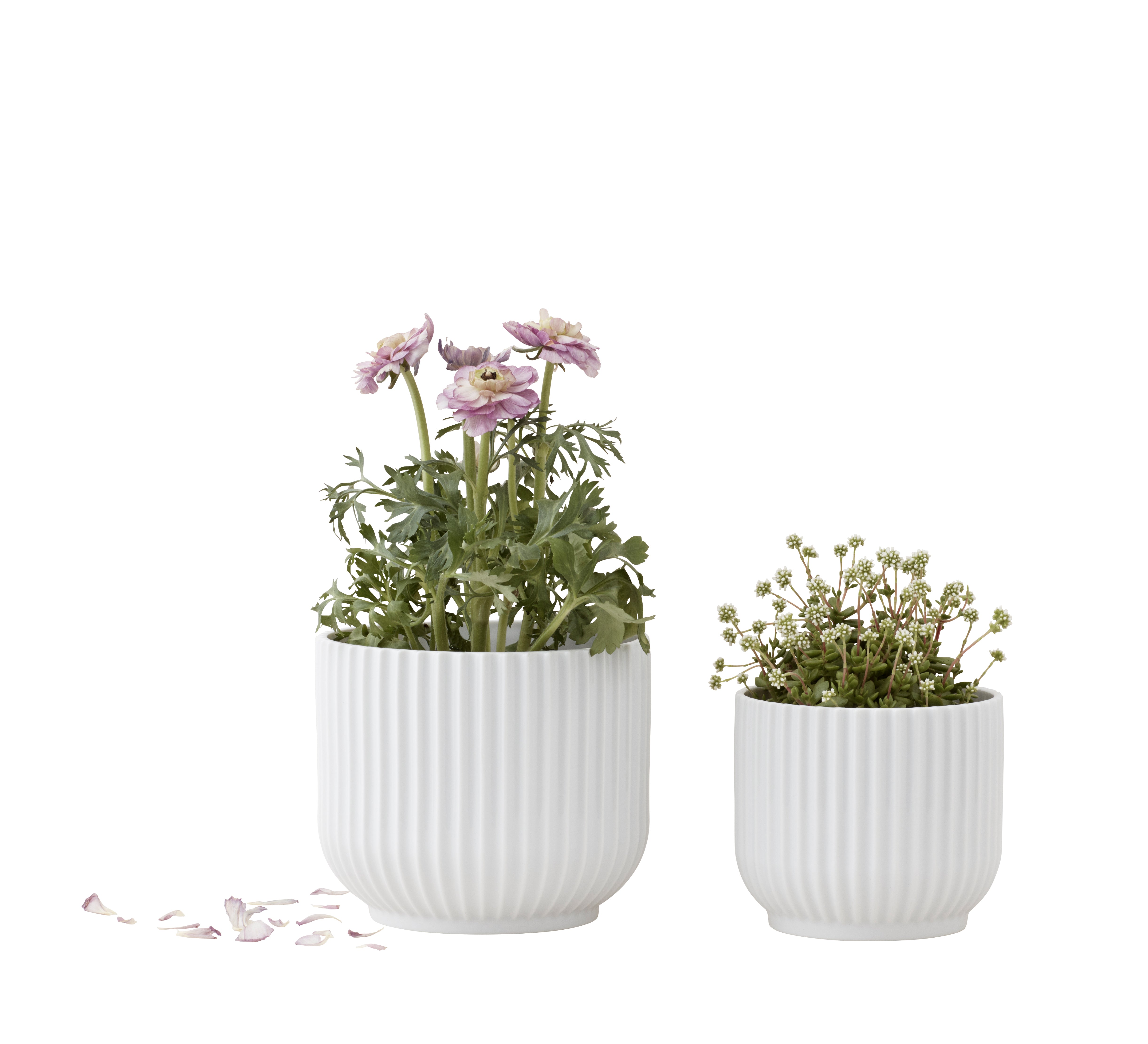 Lyngby Porcelæn - Blumentopf | S