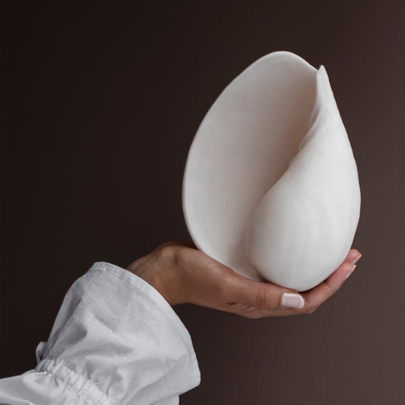 Mette Ditmer - Conch Muschel