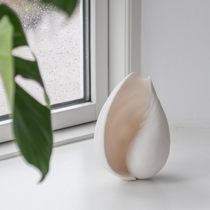 Mette Ditmer - Conch Muschel