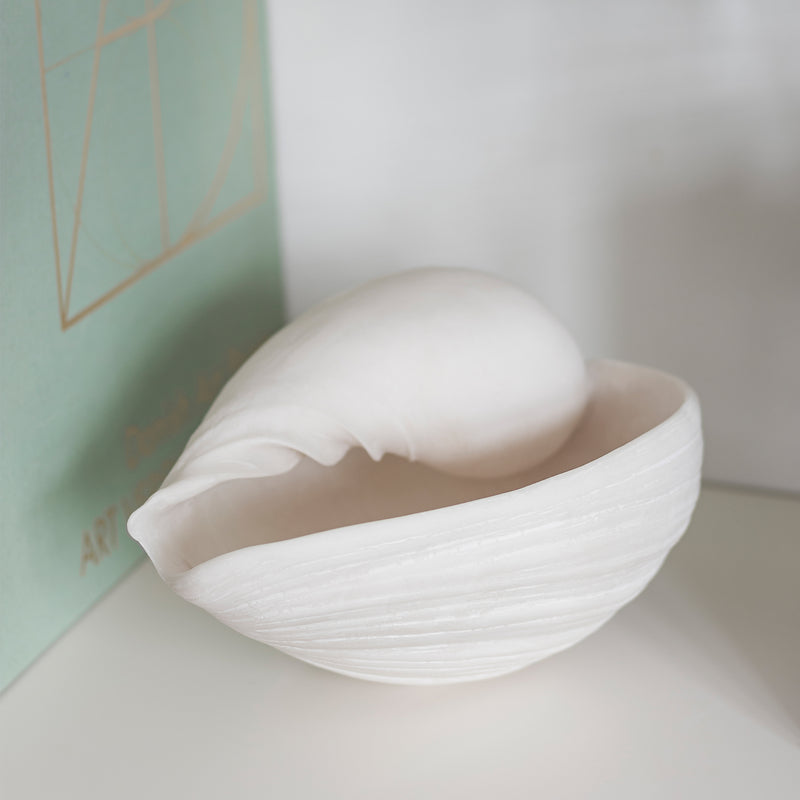 Mette Ditmer - Conch Muschel