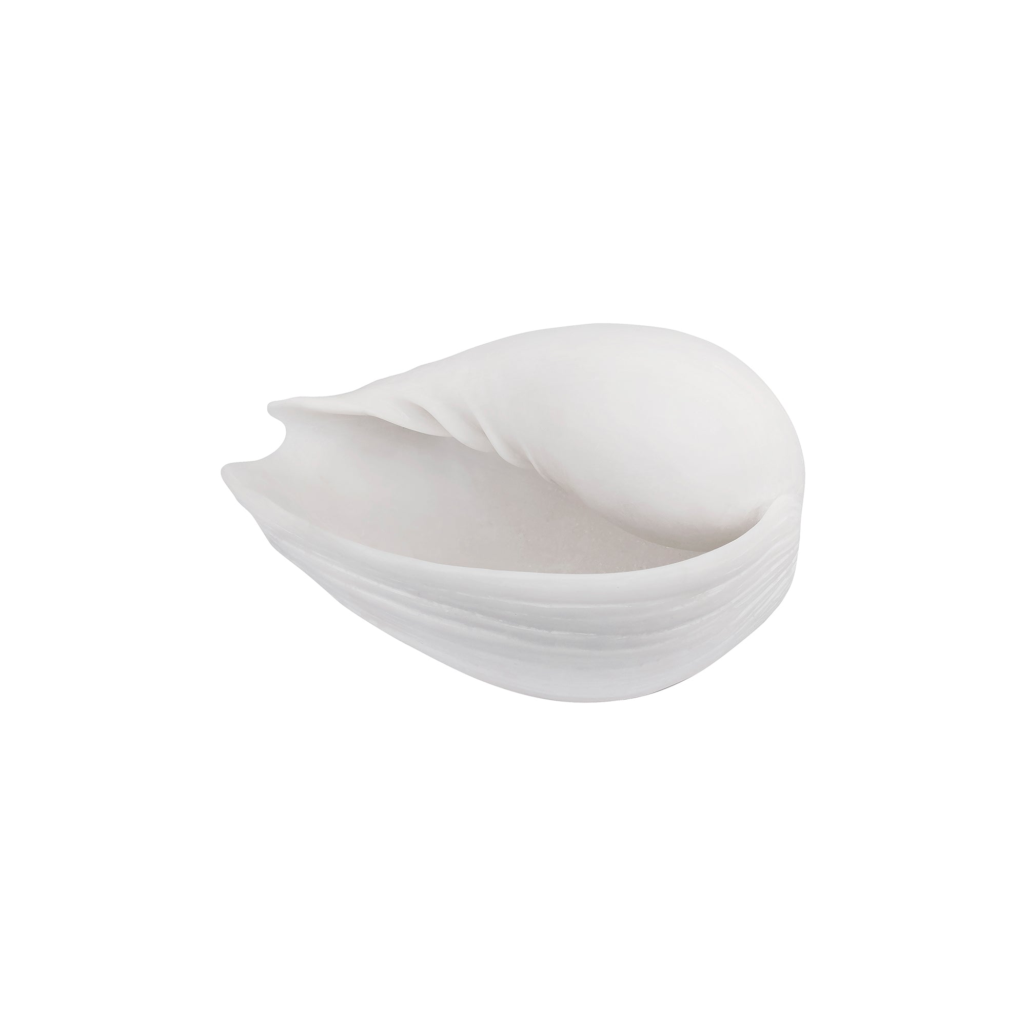 Mette Ditmer - Conch Muschel | small