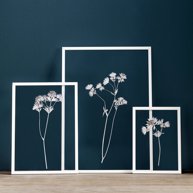 Moebe - Frame Bilderrahmen