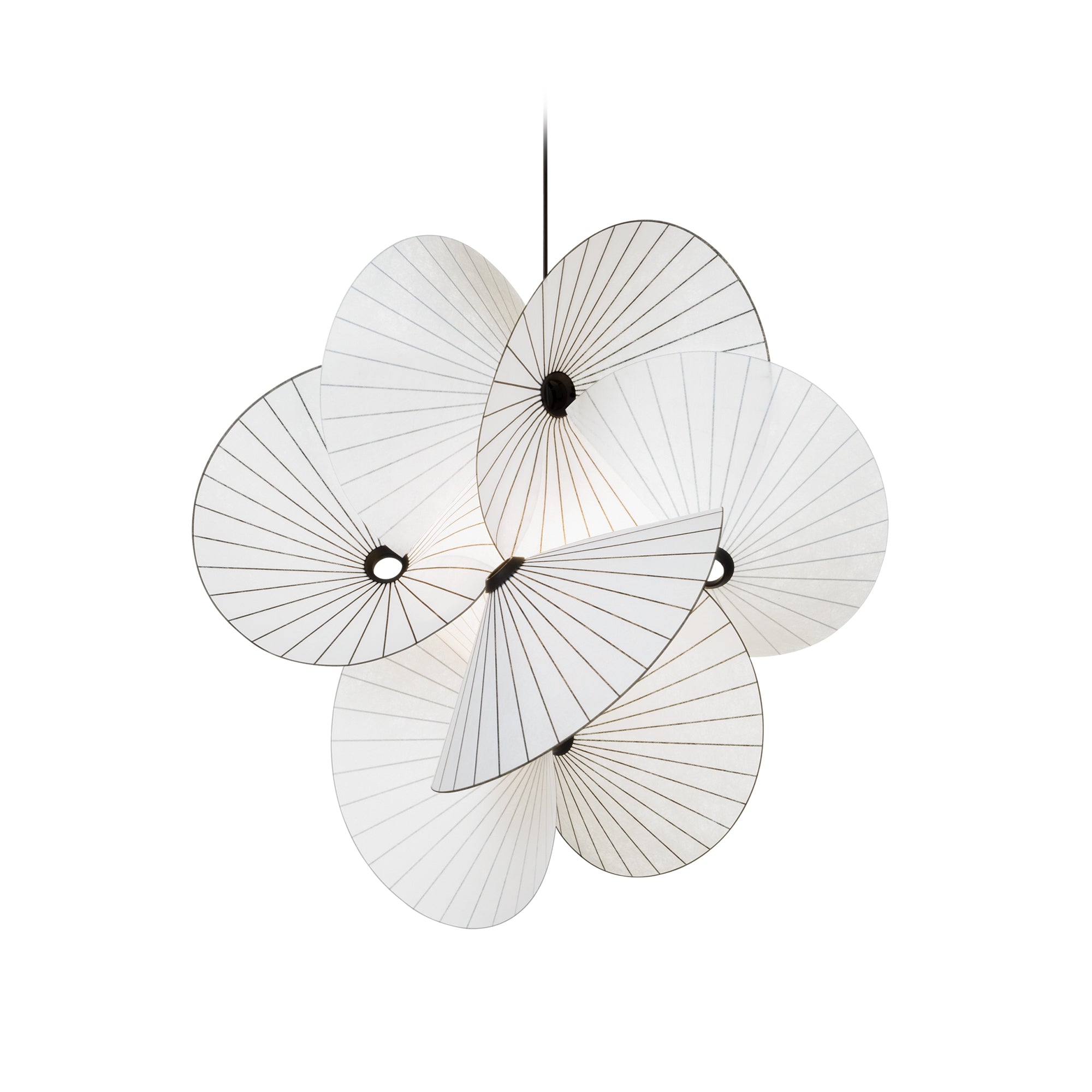 Moooi - Serpentine Pendelleuchte 8, weiß / schwarz | klein