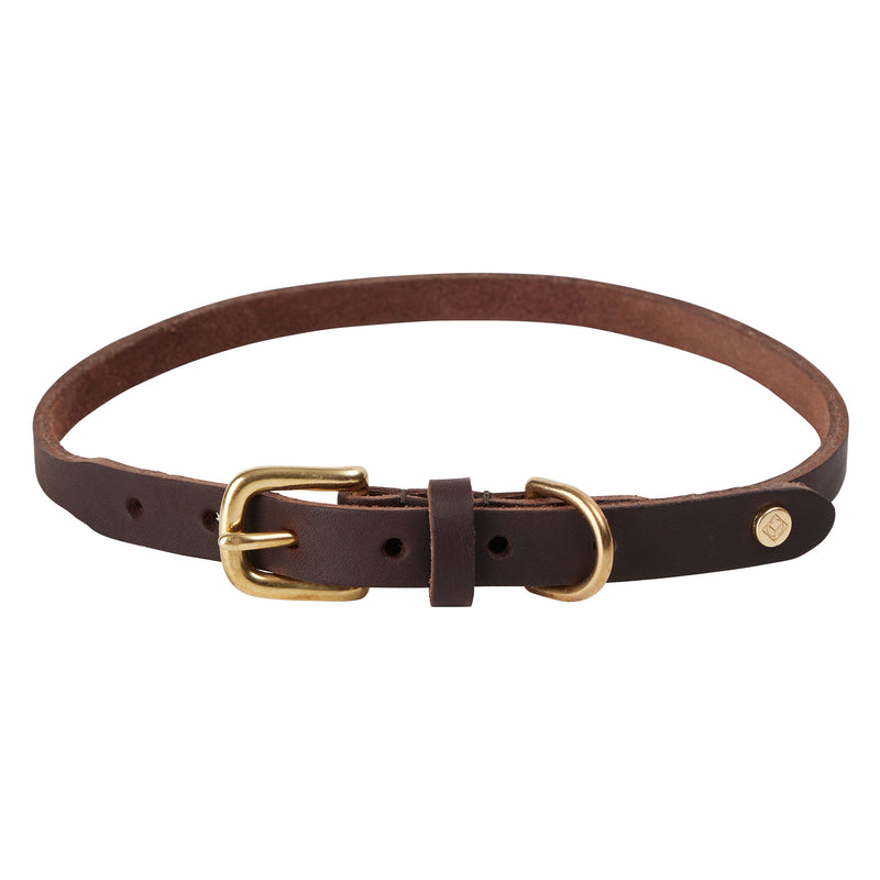 OYOY ZOO - Robin Hundehalsband | extra large