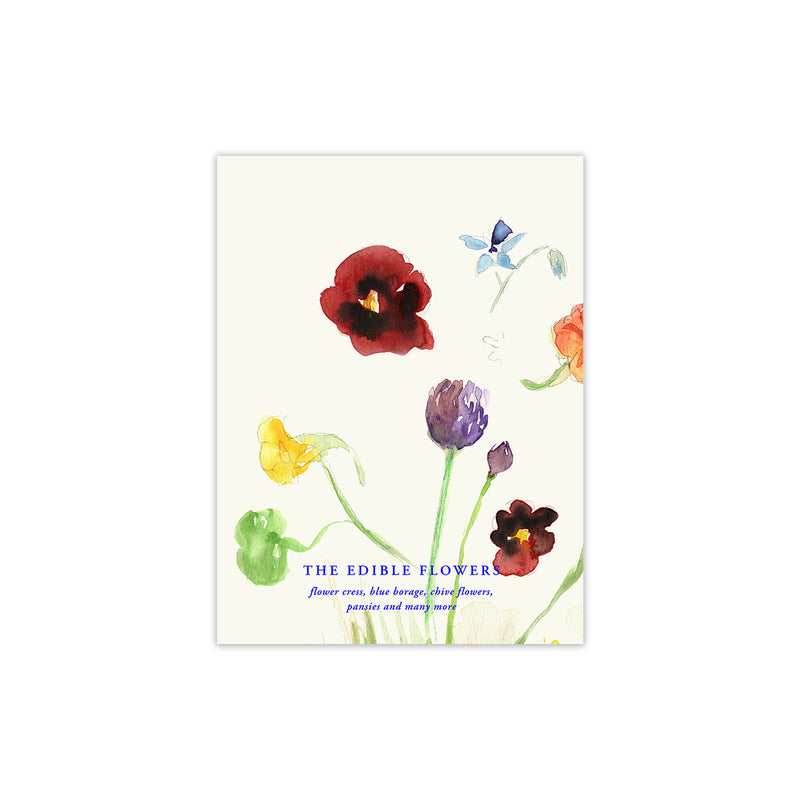 Paper Collective - The Edible Flowers Poster | 30 x 40 cm