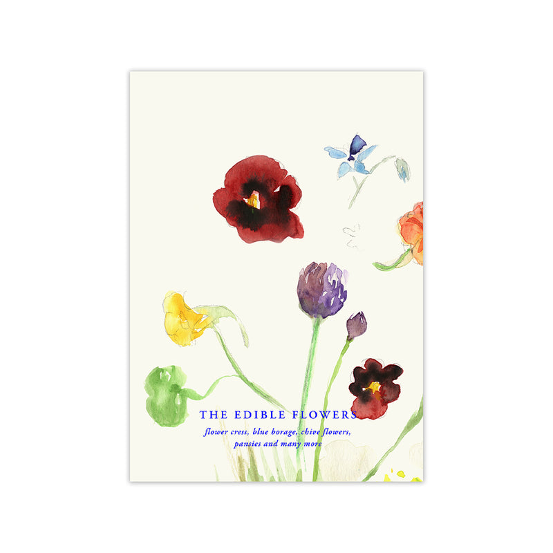 Paper Collective - The Edible Flowers Poster | 50 x 70 cm