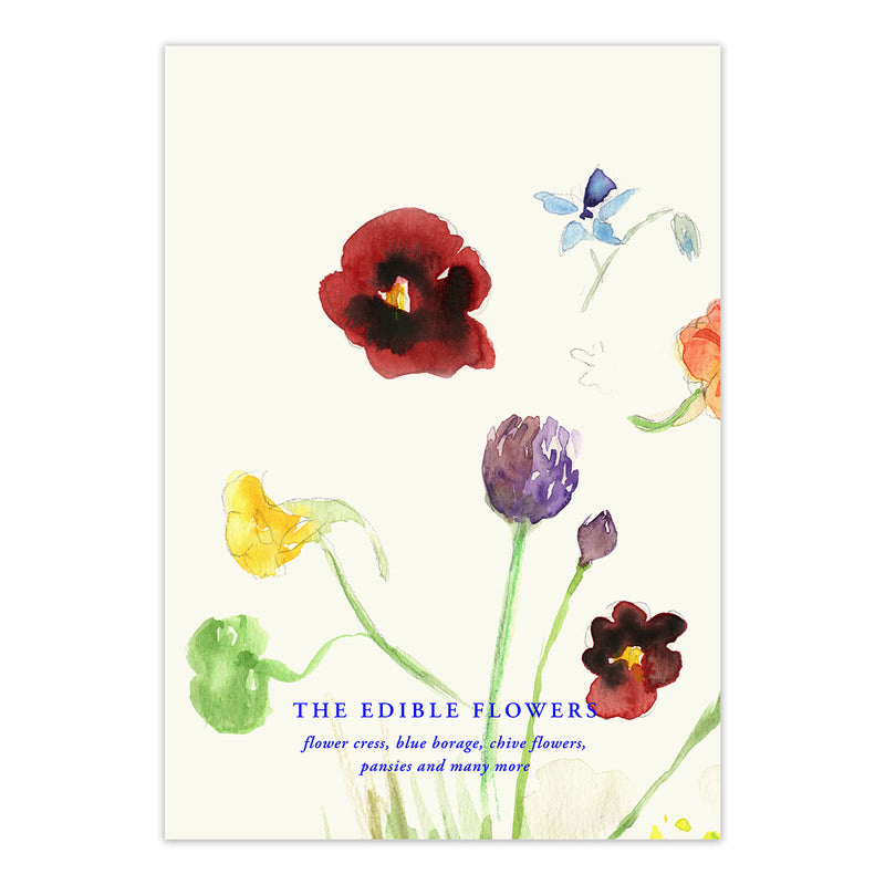 Paper Collective - The Edible Flowers Poster | 70 x 100 cm