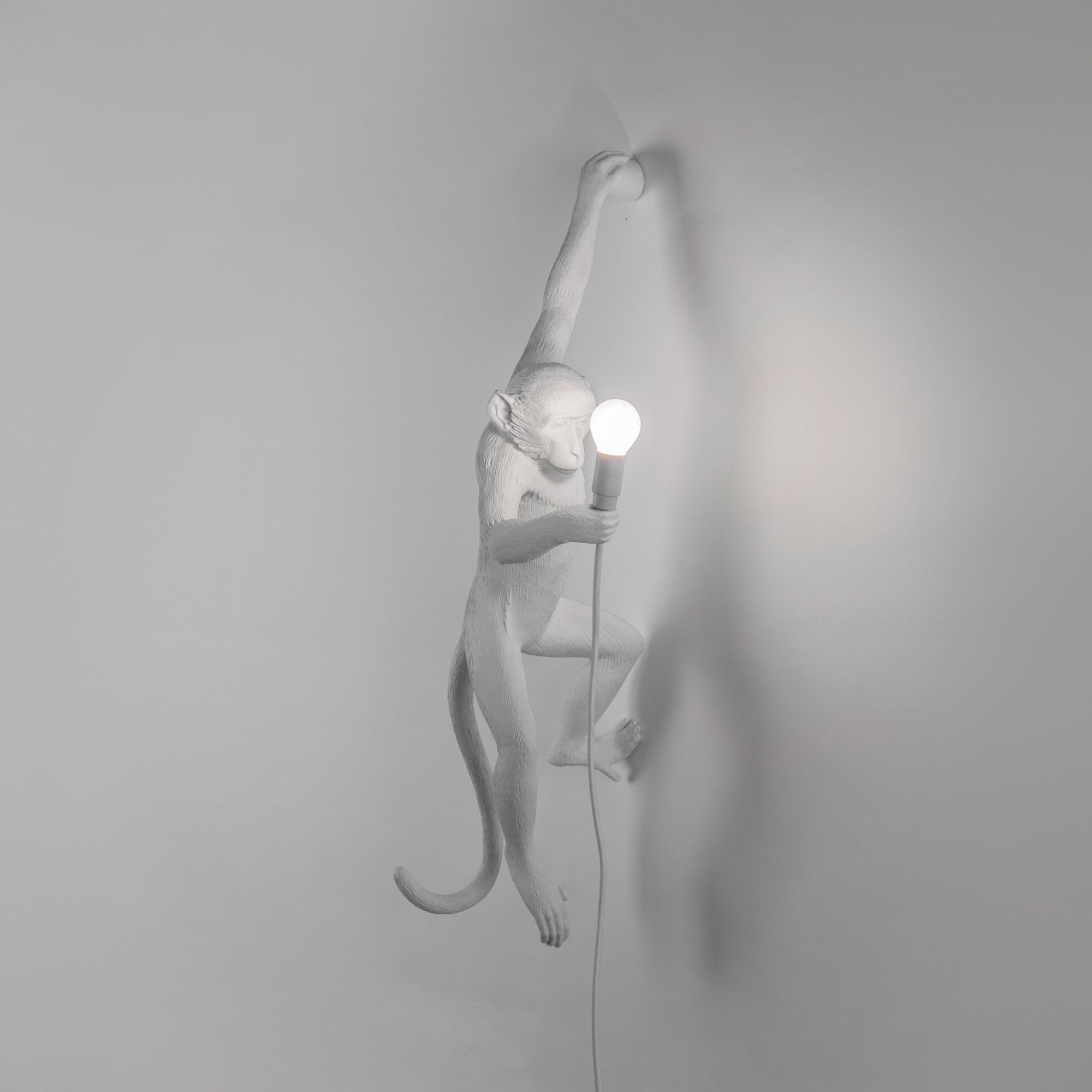 Seletti - Monkey Hanging Wandleuchte | 