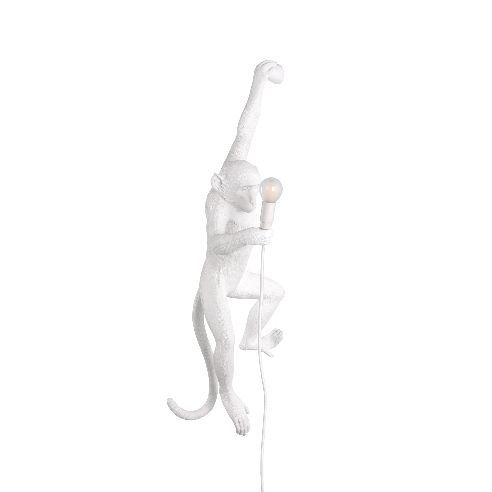 Seletti - Monkey Hanging Wandleuchte | 