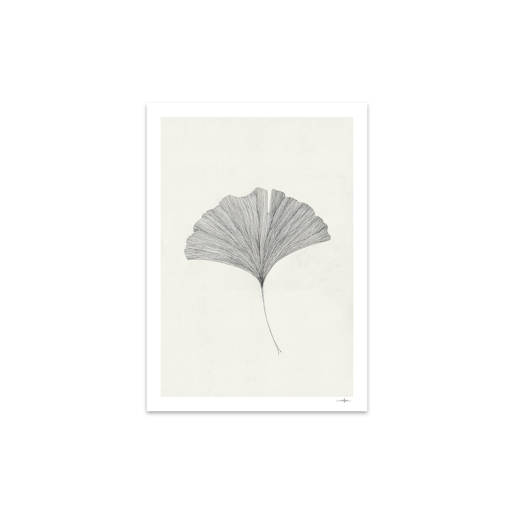The Poster Club - Ginkgo Leaf von Ana Frois | 30 x 40 cm