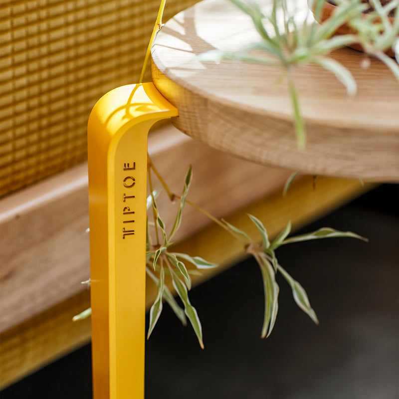 TipToe - Lou Hocker Eiche