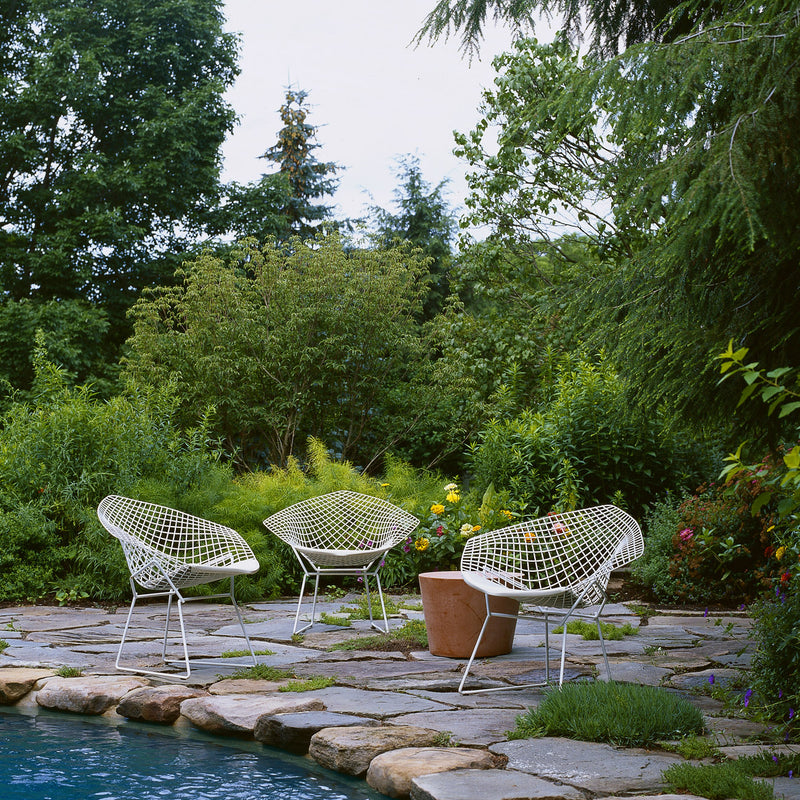 Knoll - Bertoia Diamond Sessel
