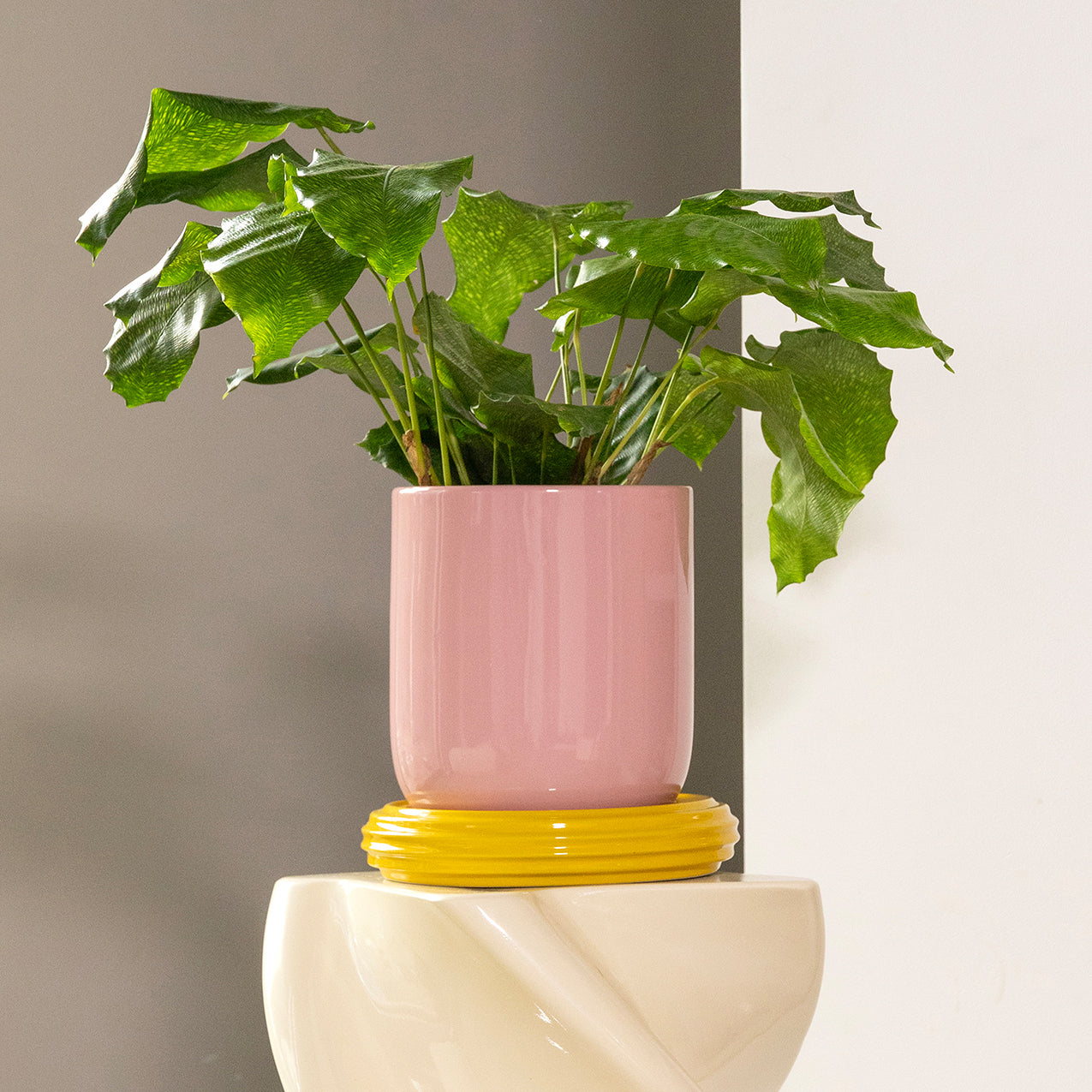 &amp;klevering - Churros Blumentopf | blush/gelb