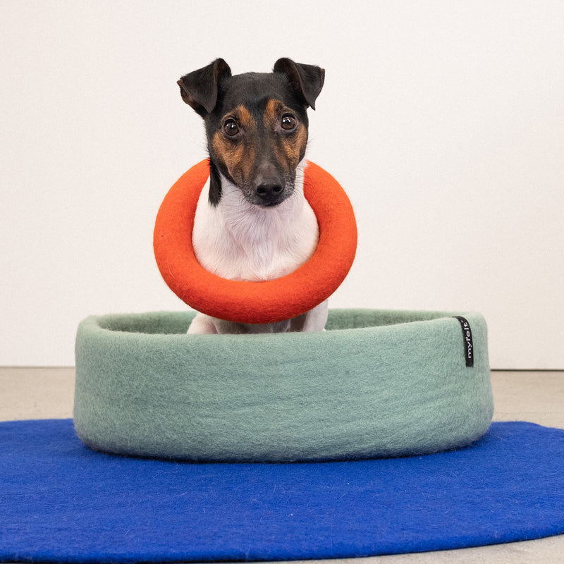myfelt - Mats Hundespielzeug
